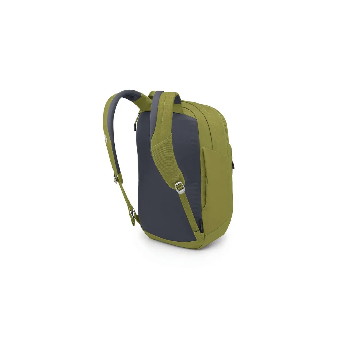 Arcane Xl Day Backpack 2