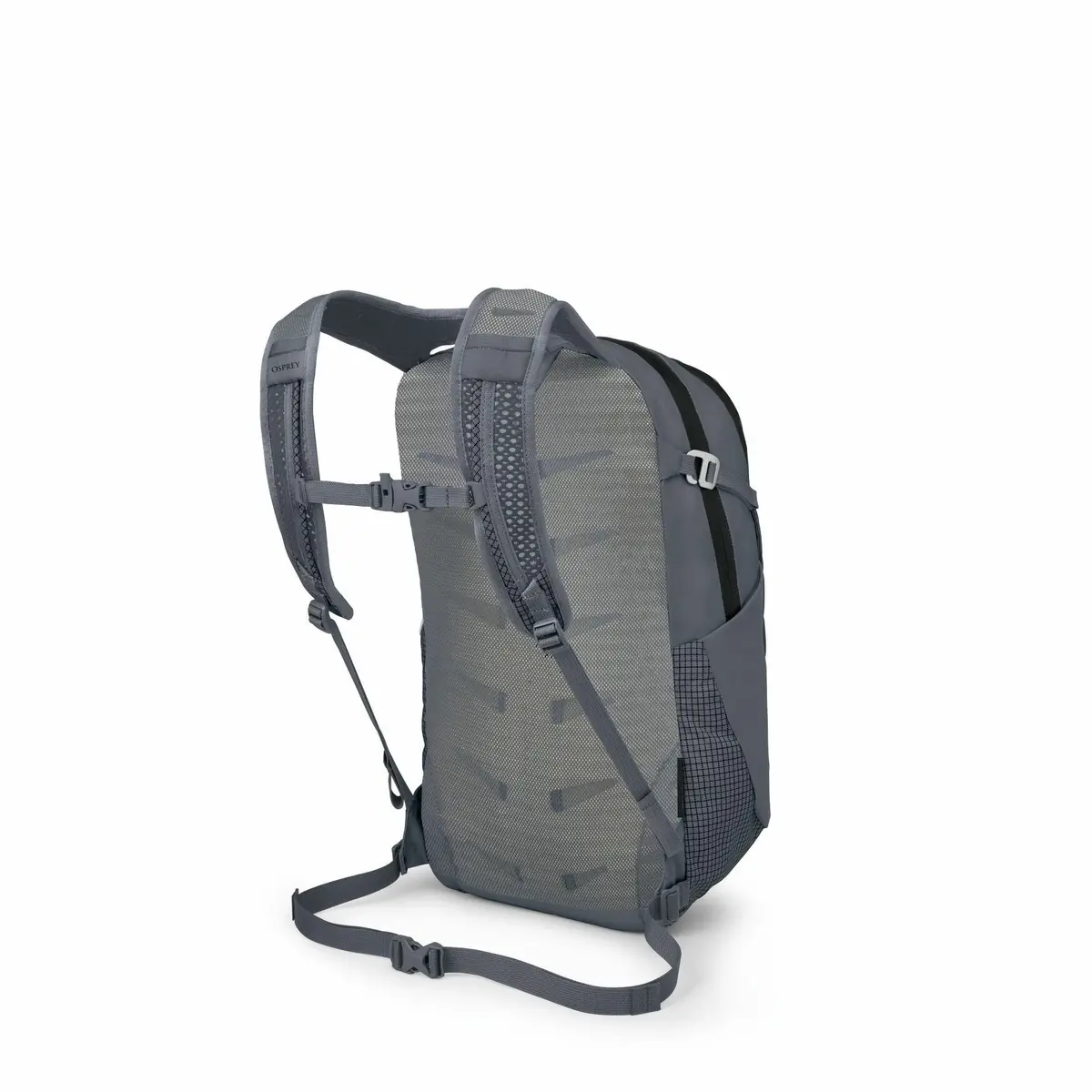 Daylite Plus Daypack - Limited Edition 2