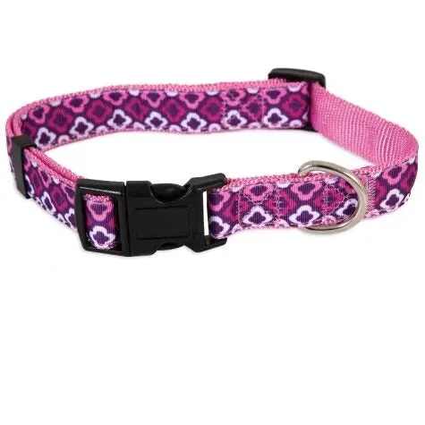 Aspen Pet Dog Collar (1"X16-26") 1