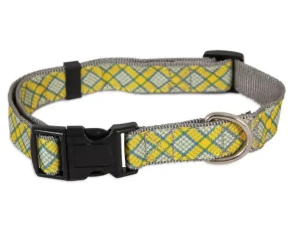 Aspen Pet Dog Collar (1"X16-26") 1