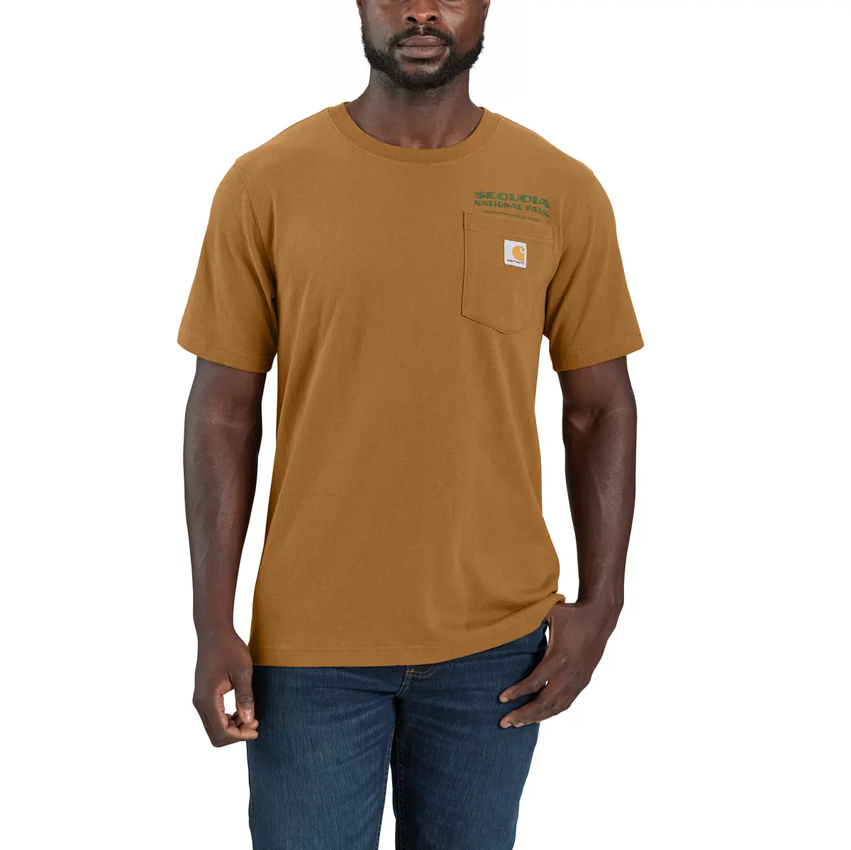 Men's Relaxed Fit Heavyweigh Short-Sleeve Sequoia National Park Graphic T-Shirt 3