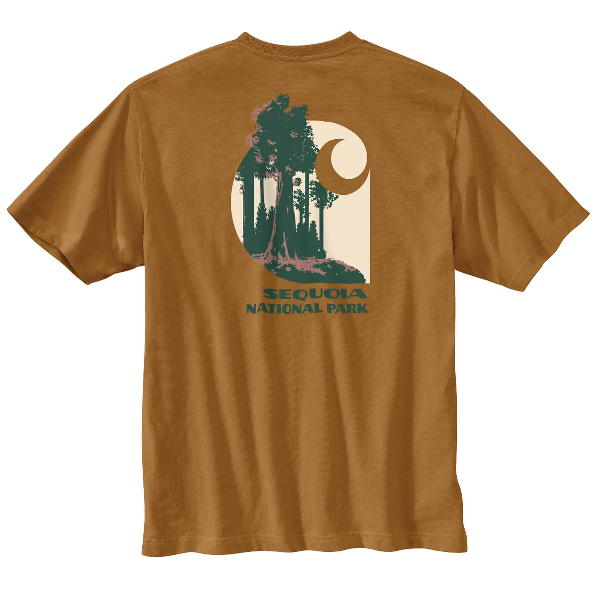 Men's Relaxed Fit Heavyweigh Short-Sleeve Sequoia National Park Graphic T-Shirt 2