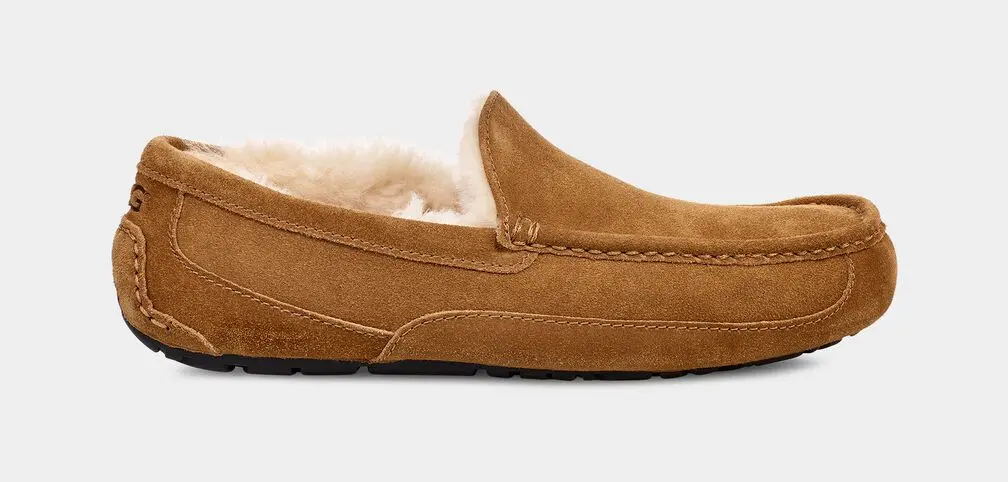 Men's Ascot Slipper 1