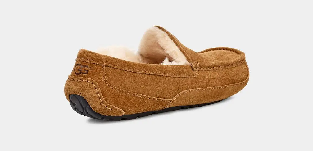 Men's Ascot Slipper 2