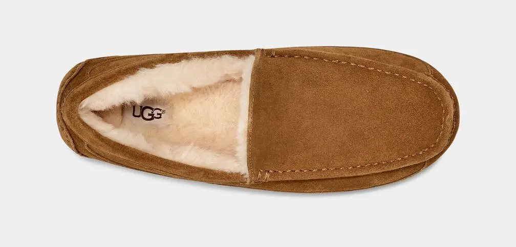 Men's Ascot Slipper 3
