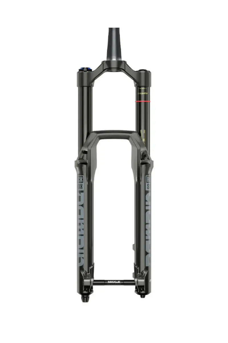 Suspension Rockshox Domain Debonair Rc 29" 1
