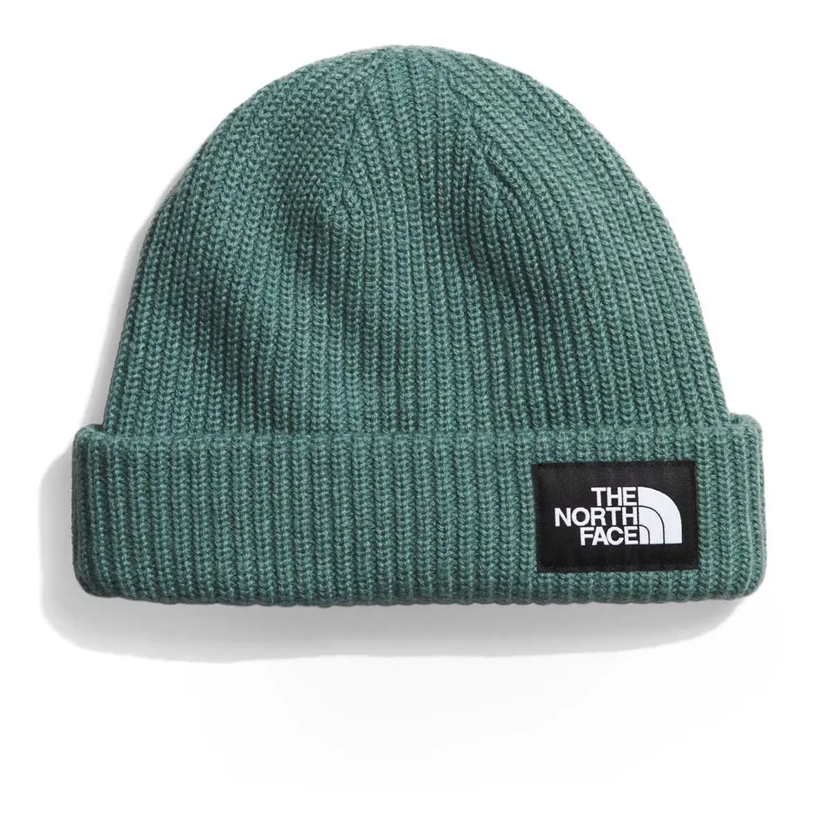 Salty Lined Beanie 1