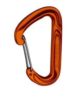 Wall Light Wire Gate Carabiner 1