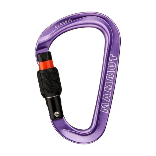 Classic Hms Screwgate Carabiner 1