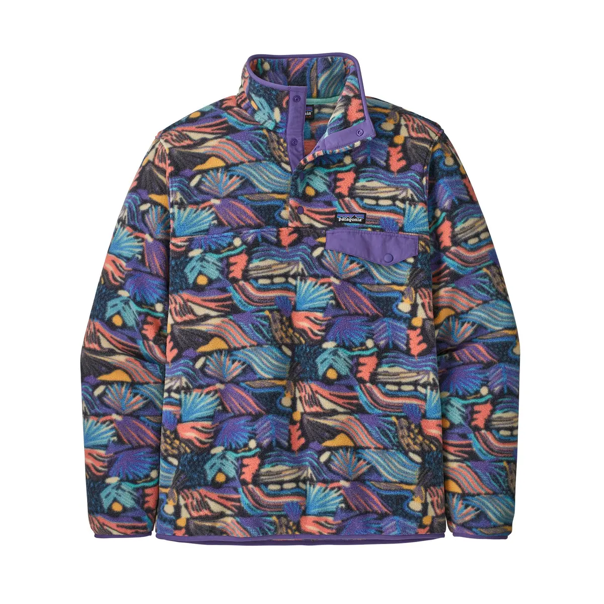 Men's Lightweight Synchilla Snap-T Fleece Pullover 1
