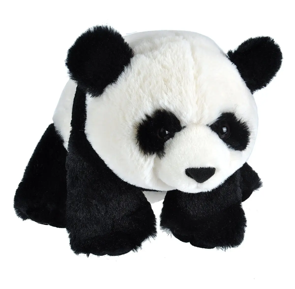 Cuddlekins Eco Panda - 12" 1