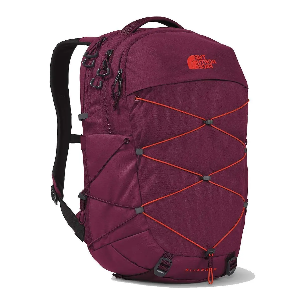 Women`S Borealis Backpack 1