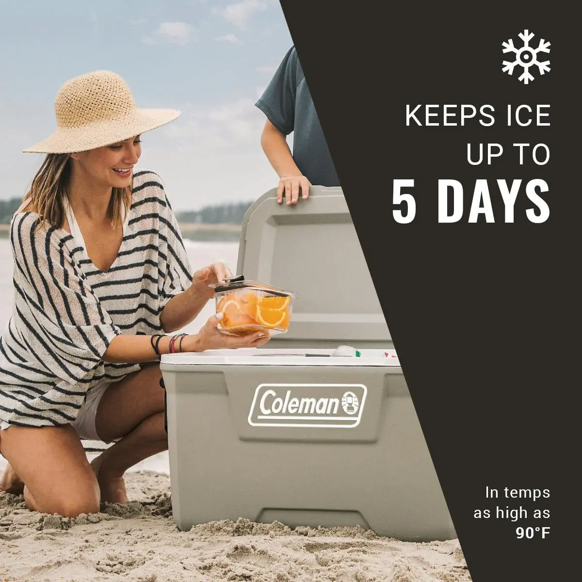 Classic Series 70Qt Hard Cooler 2