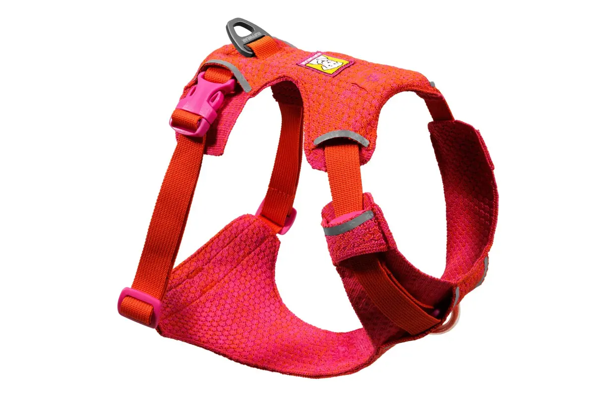 Front Range Flex Dog Harness 1