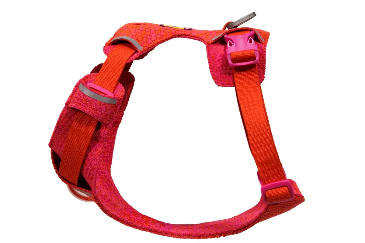 Front Range Flex Dog Harness 2