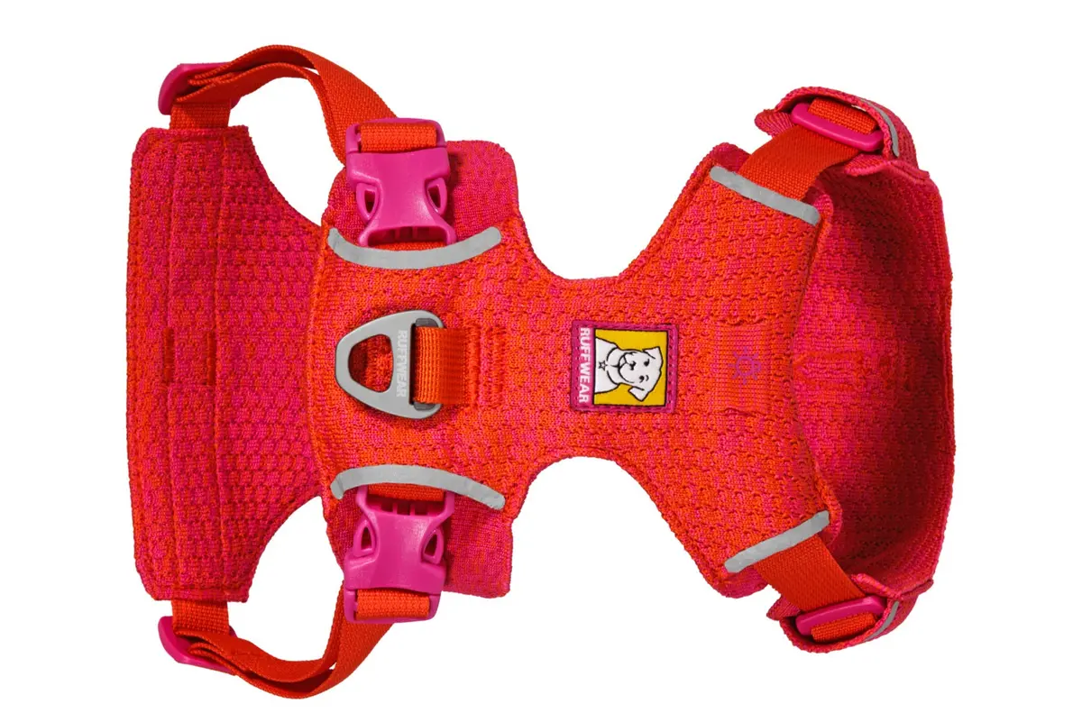 Front Range Flex Dog Harness 3