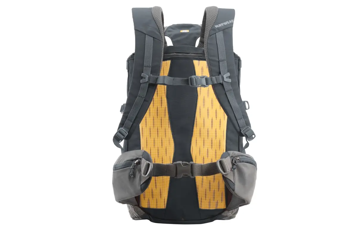 Hitch Hiker Dog Backpack Carrier 2