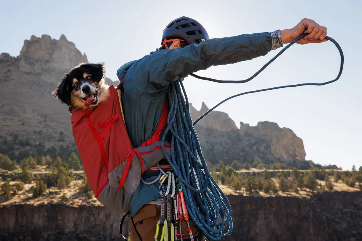 Hitch Hiker Dog Backpack Carrier 3