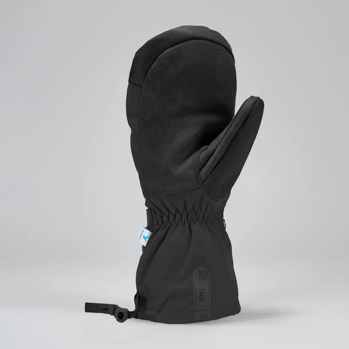 Women's Windward Mitten 2