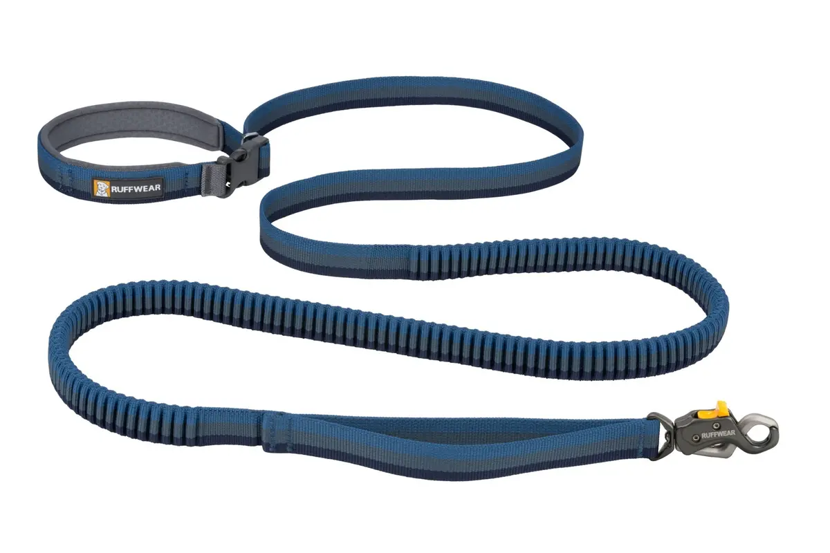 Roamer Bungee Dog Leash (7.3' - 11') 1