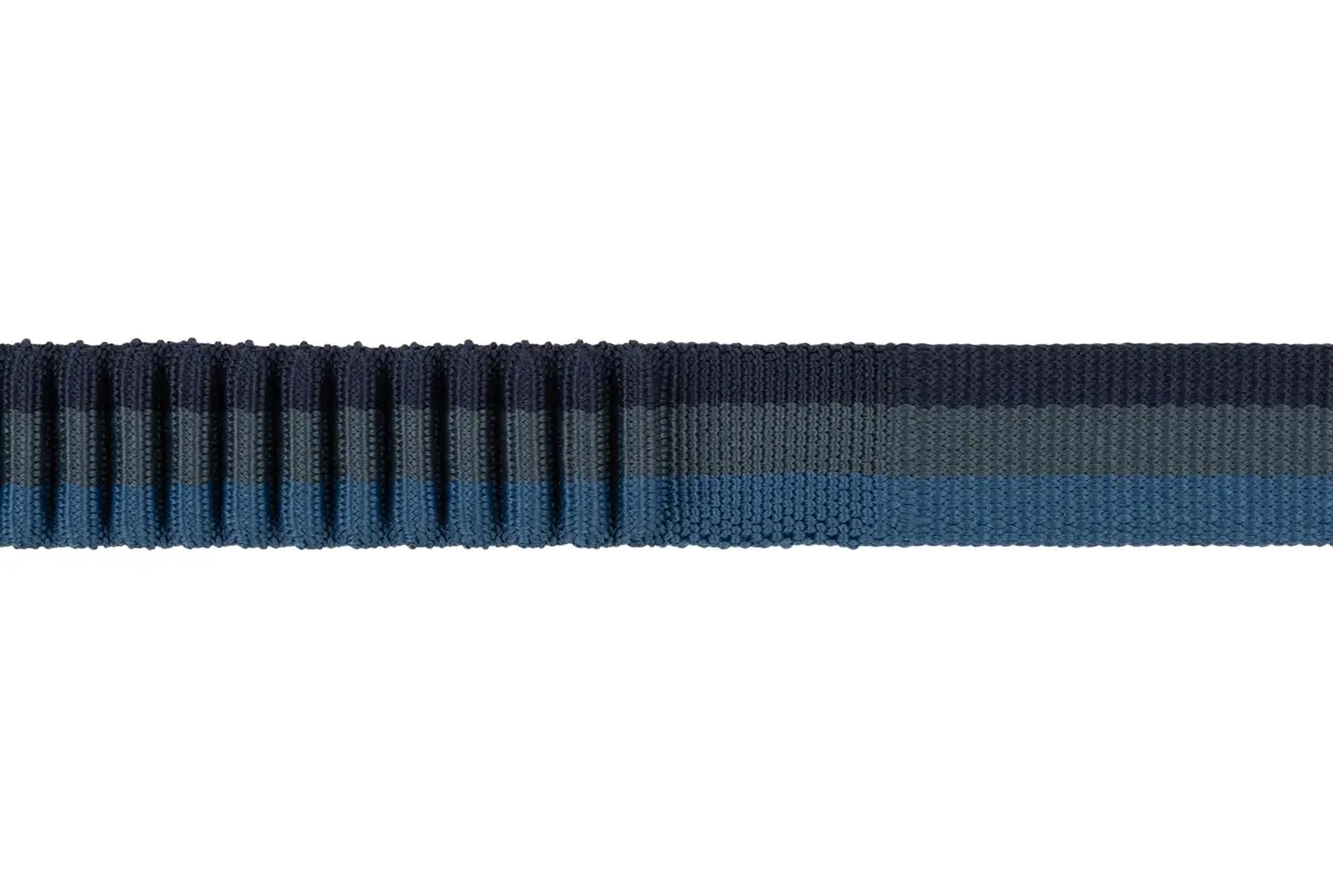Roamer Bungee Dog Leash (5.5' - 7') 2