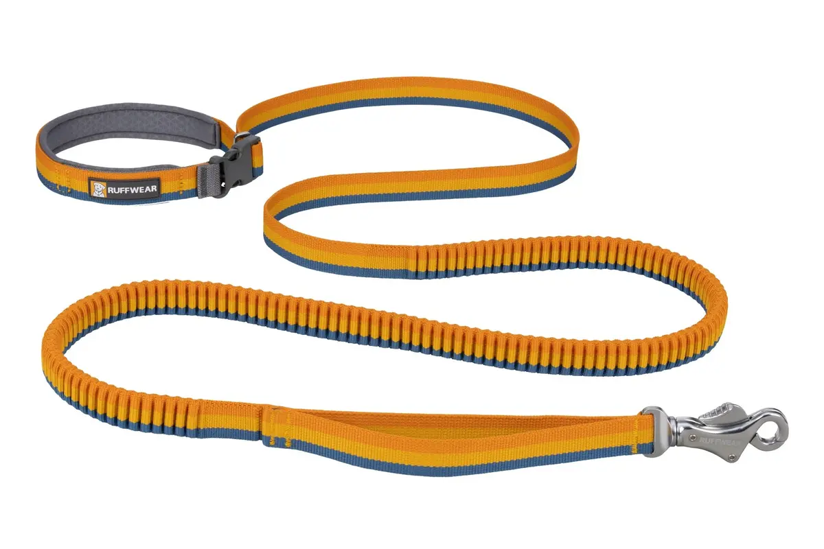 Roamer Bungee Dog Leash (7.3' - 11') 1