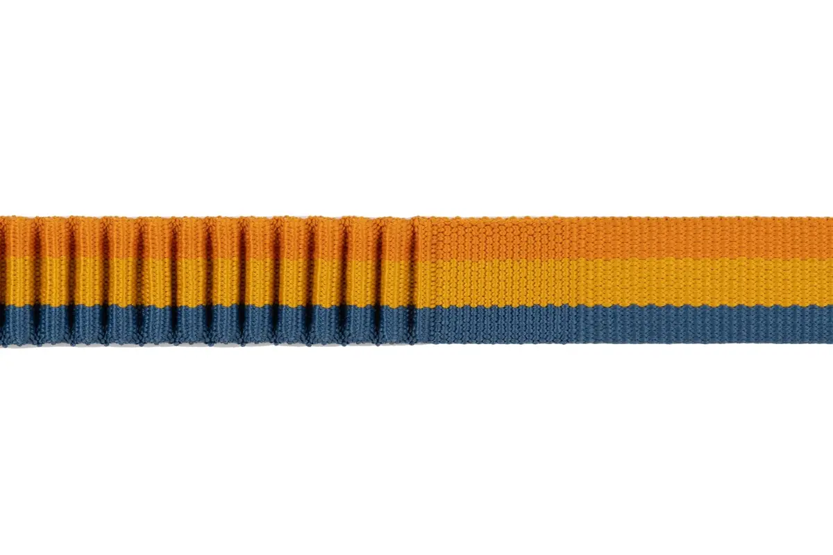 Roamer Bungee Dog Leash (7.3' - 11') 2