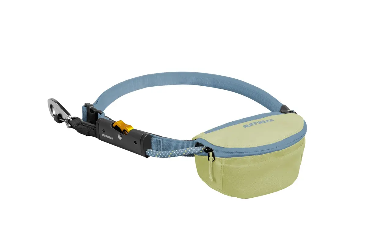 Hitch Hiker Dog Leash 1