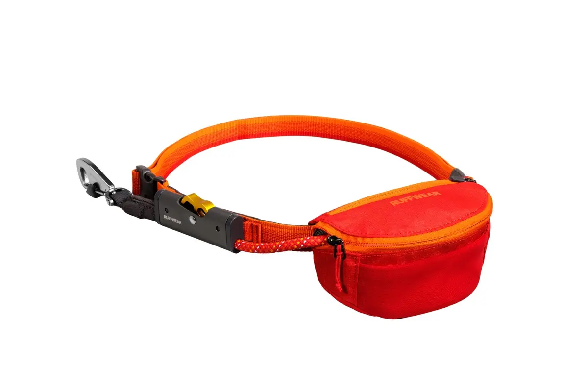 Hitch Hiker Dog Leash 1