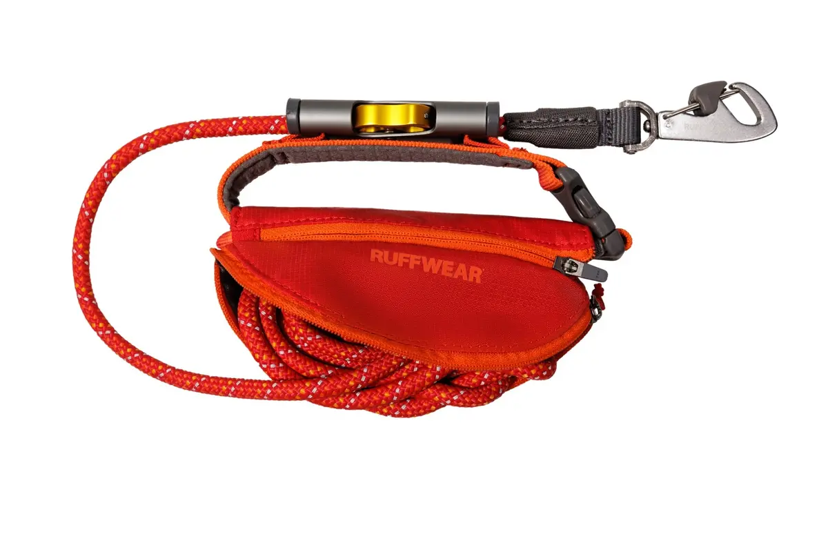 Hitch Hiker Dog Leash 2