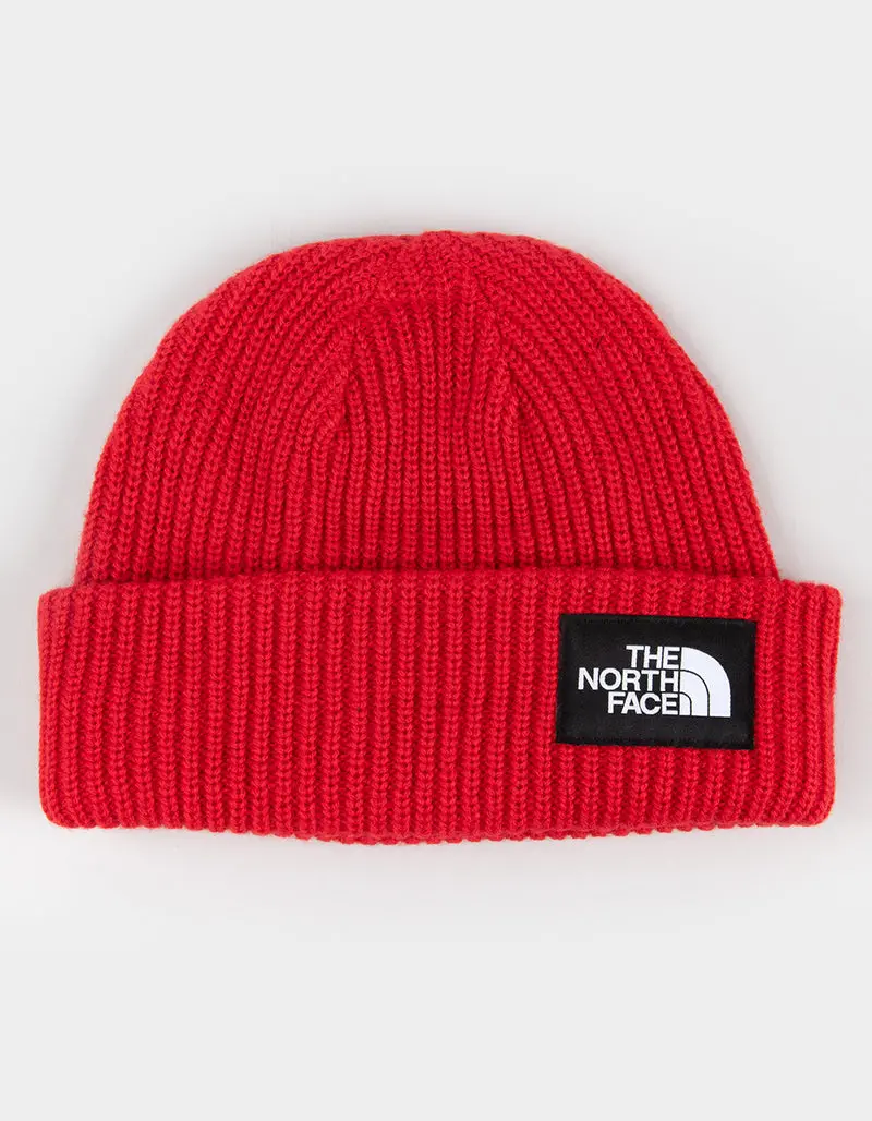 Salty Lined Beanie 1
