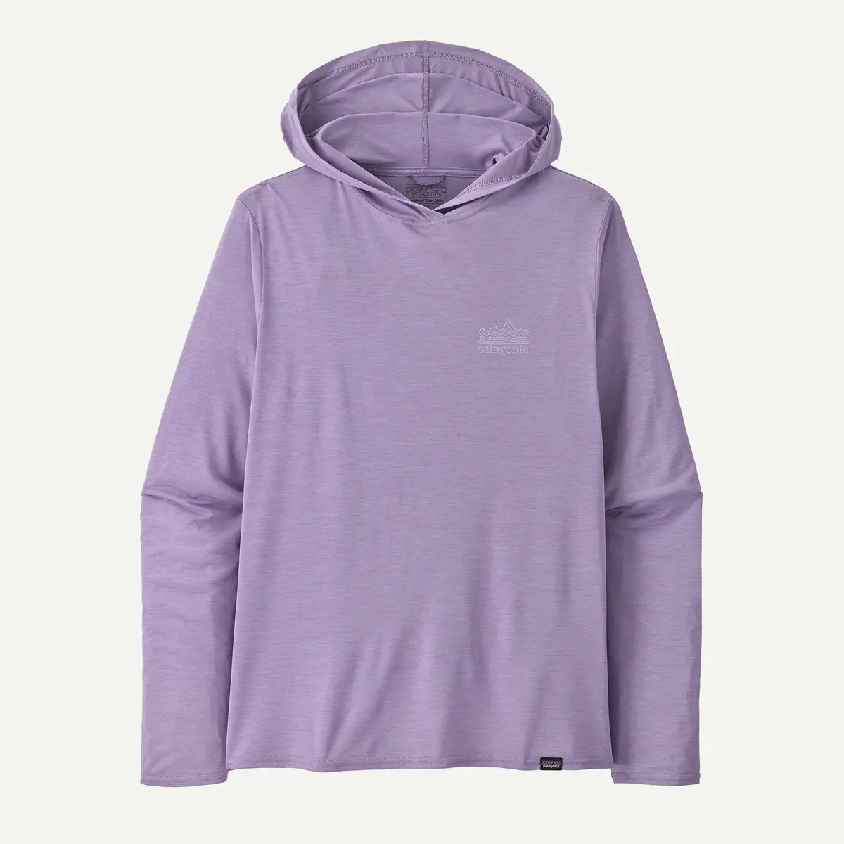Men's Capilene Cool Daily Graphic Hoody 2