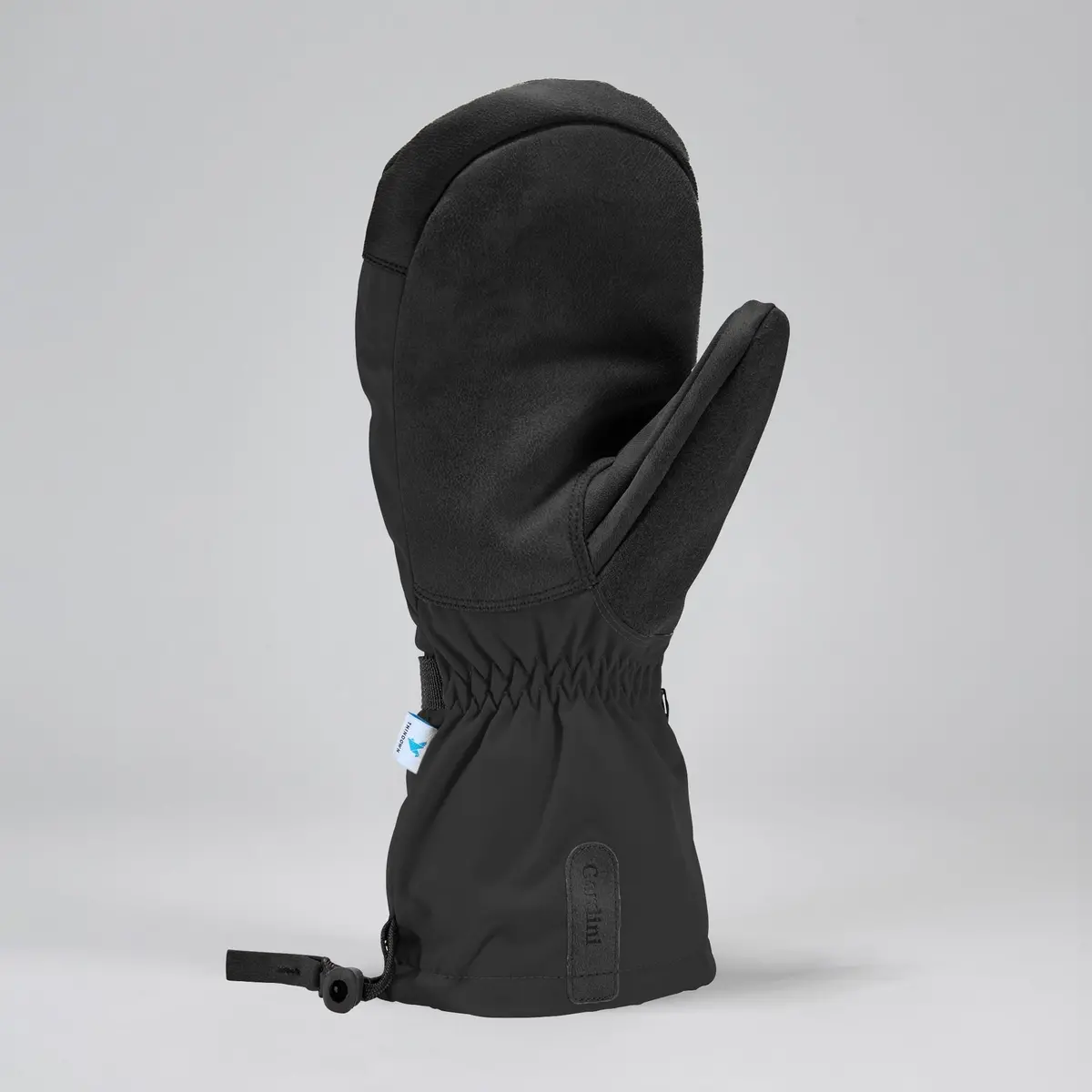 Men's Windward Mitten 2