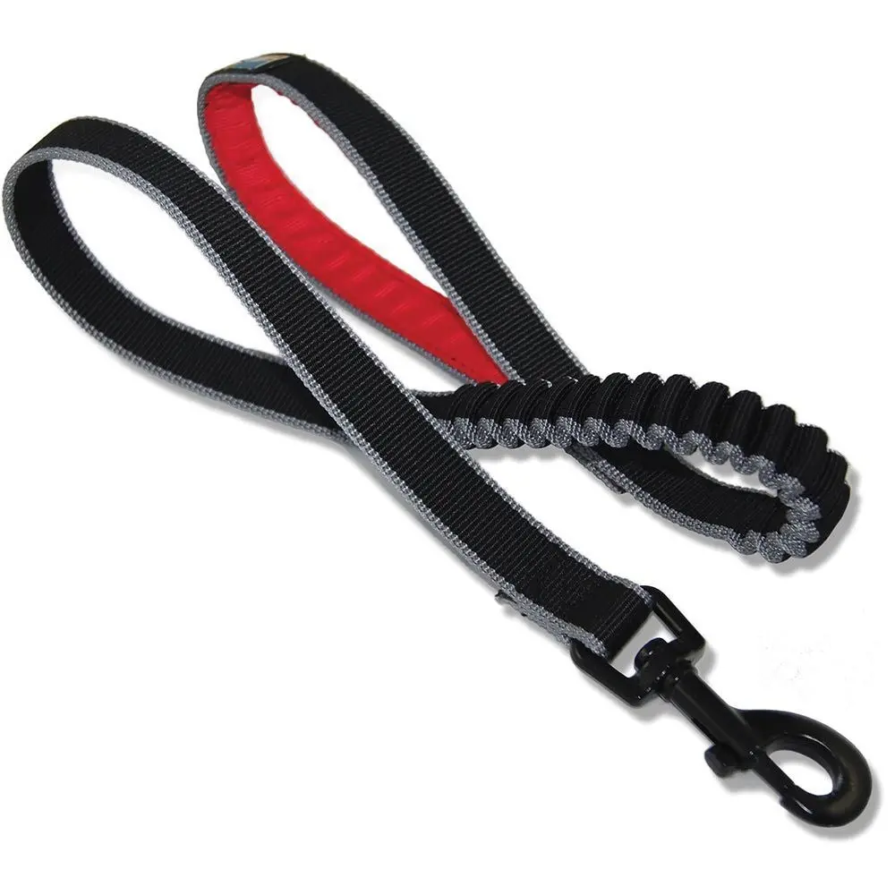 Kurgo Springback 48" Dog Leash 1