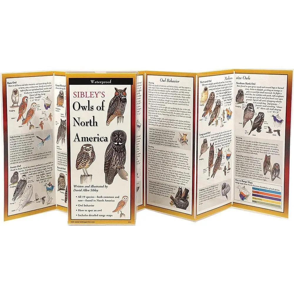 Sibley's Owls Of North America Folding Guide 1