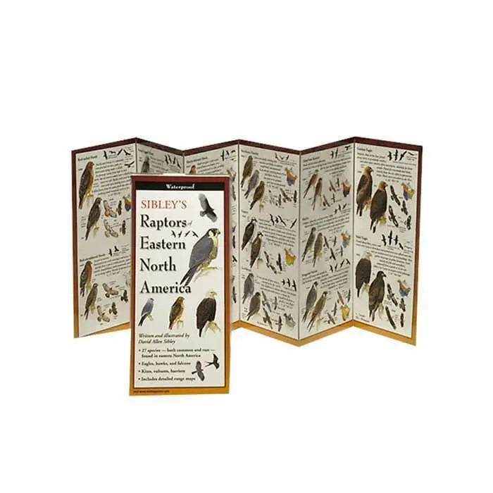 Sibley's Raptors Of Eastern North America Folding Guide 1