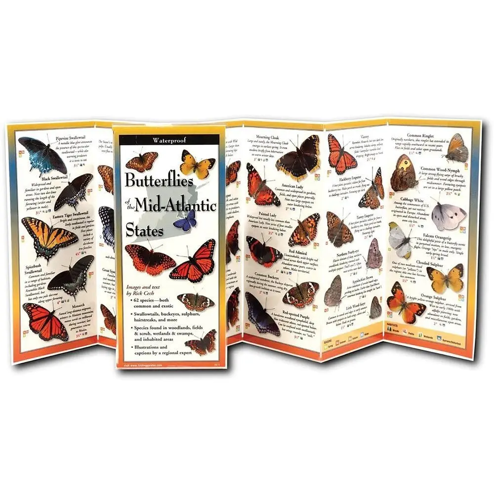 Butterflies Of The Mid-Atlantic Folding Guide 1