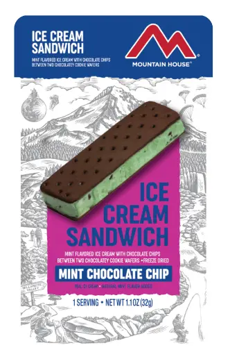 Mint Chocolate Chip Ice Cream Sandwich 1