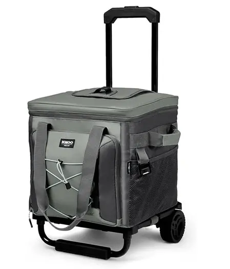 Collapsible 40-Can Roller Cooler 1