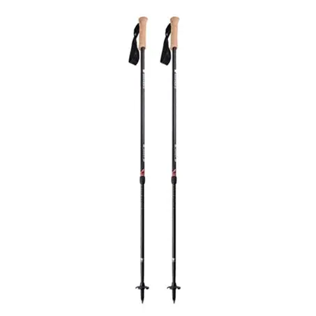 Andesite Trekking Poles 1