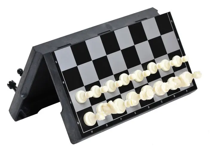 Basecamp Magnetic Chess/Check 2