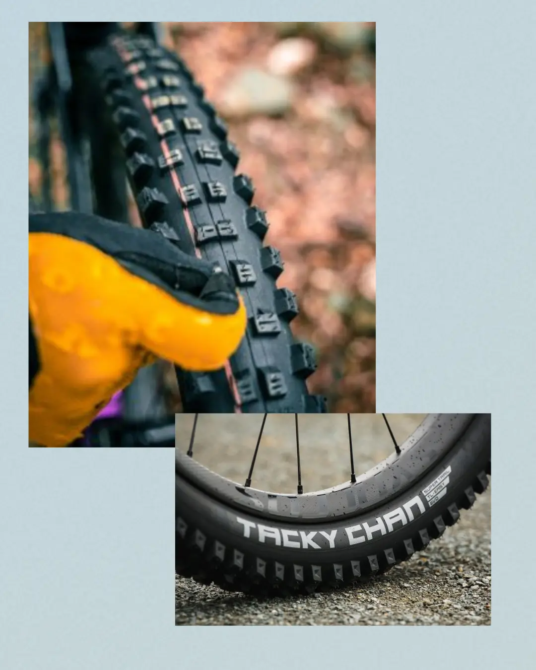 Llantas Schwalbe Tacky Chan Supertrail Soft 29X2.40 1