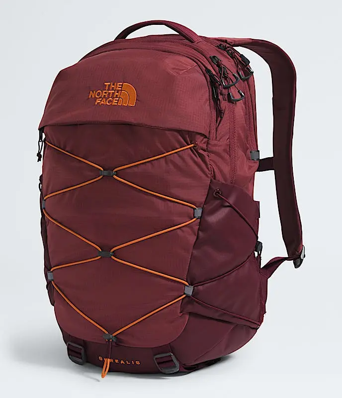 Men's Borealis Backpack 1