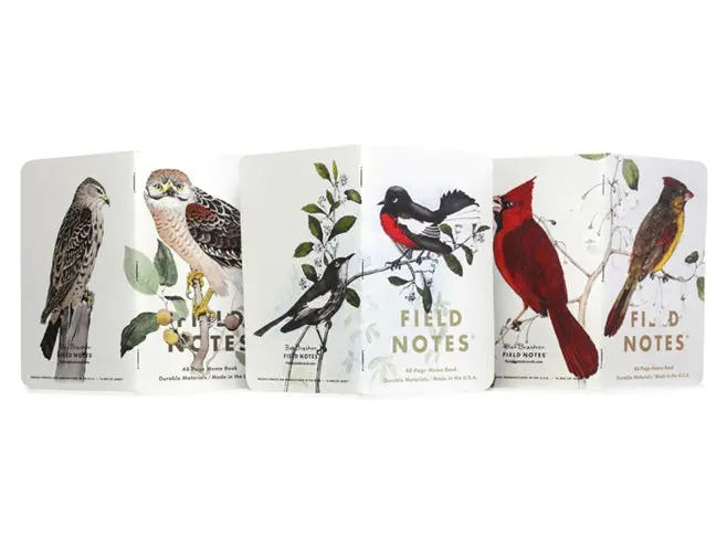 Birds & Trees Of North America Set Of 3 - Pack C 1