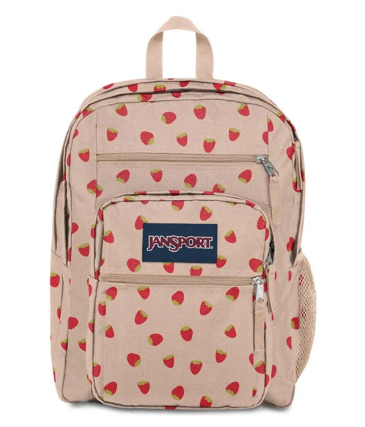 Big Student Backpack 1
