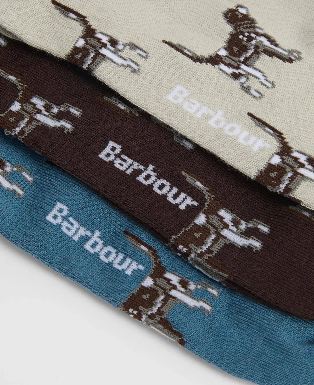 Men's Pointer Dog Socks Gift Box 2