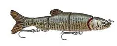 Doragon Minnow Pike Hard Bait -  4" 1