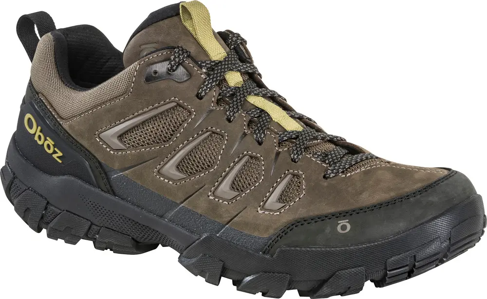 Men's Sawtooth X Low Shoe 2