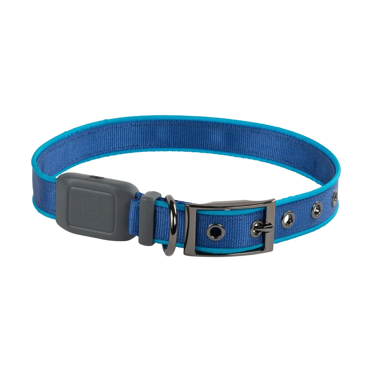 Nitedog Rechargeable Led Collar - Large 2