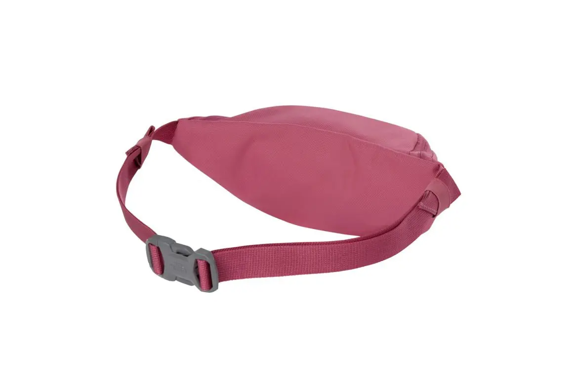 Jester Lumbar Pack 2